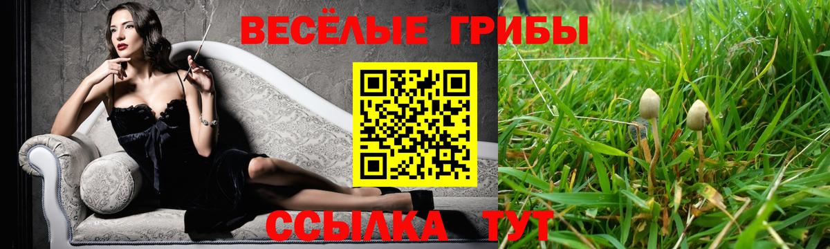 Галлюциногенные грибы прущие грибы  Вход с VPN  Азов 